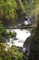 Vancouver Island 'Englishman River Falls Park' 27_09_2011 (106)